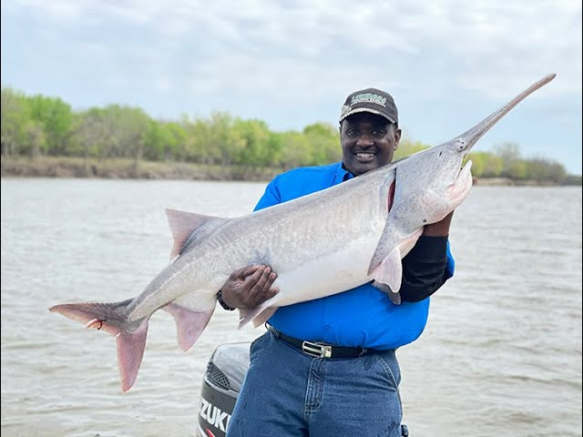 Ross Hettinger tweet media