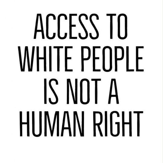 Fin Murphy tweet media