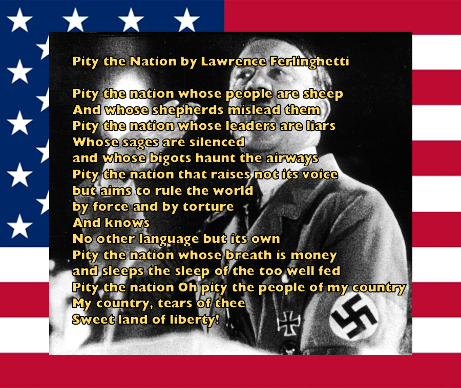 America Is Divided tweet media