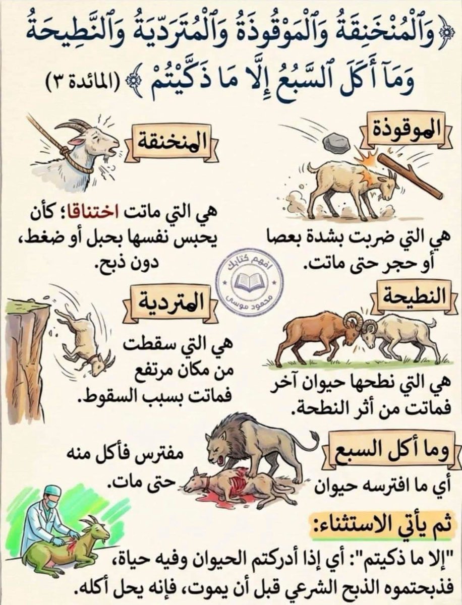 ✍️🎨🖌️هاجر 🖌️🎨✍️ tweet media