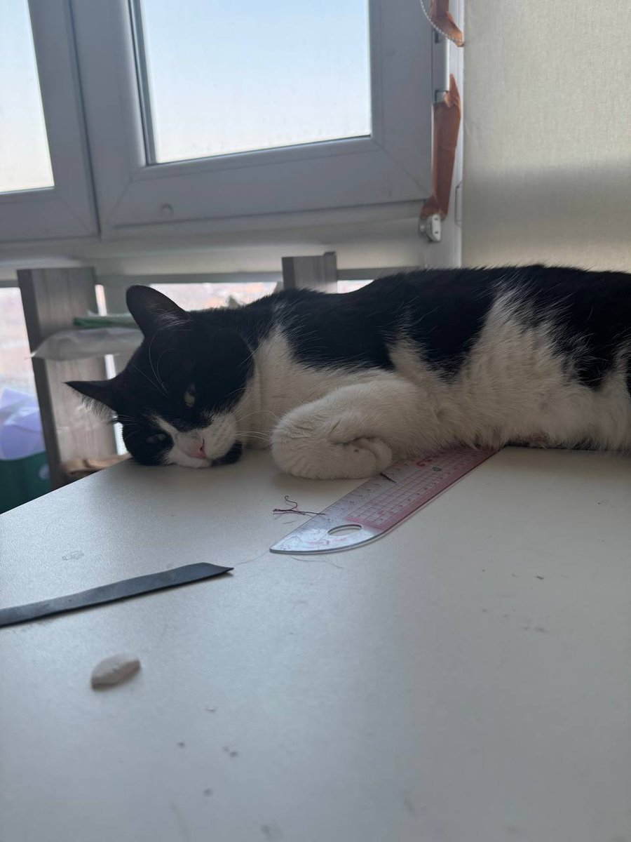 Mercurygin Cosplay tweet media