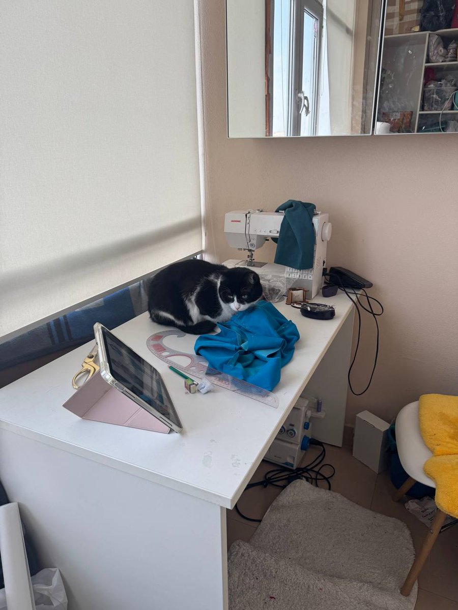 Mercurygin Cosplay tweet media