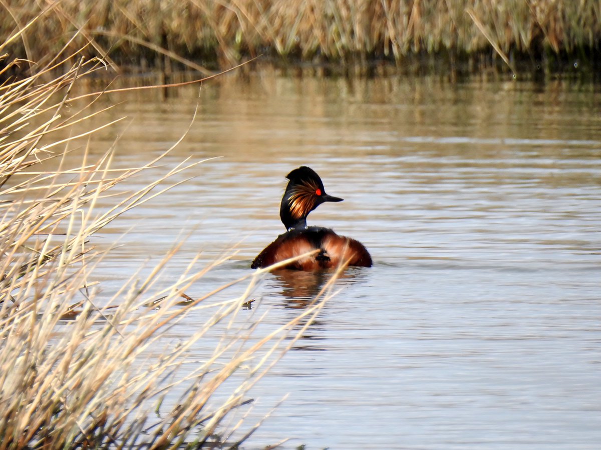Gary Stones tweet media