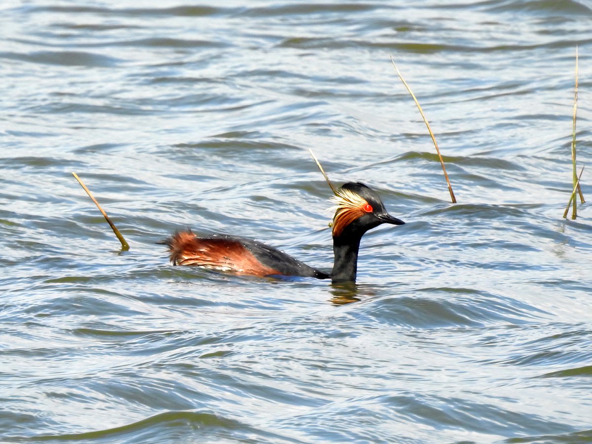 Gary Stones tweet media