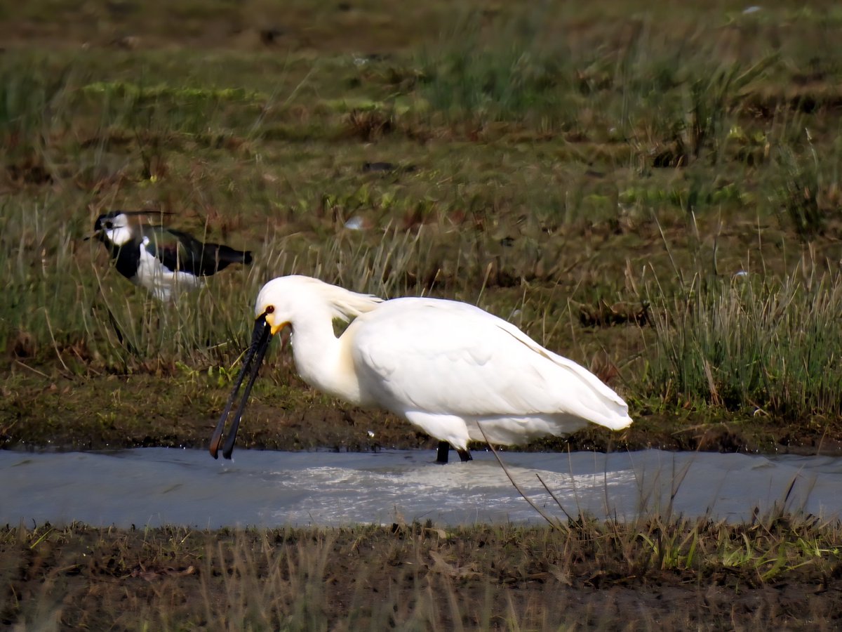 Gary Stones tweet media