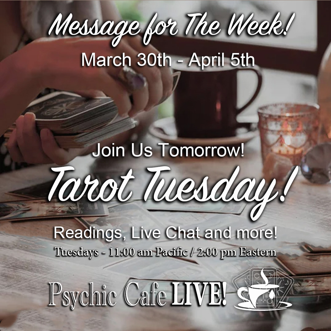 Join us tomorrow! #Tarot Tuesday!
youtube.com/live/CCp5qDesC…
#Psychic Cafe LIVE! ⬆️ 🤠🌵☕️🎙️