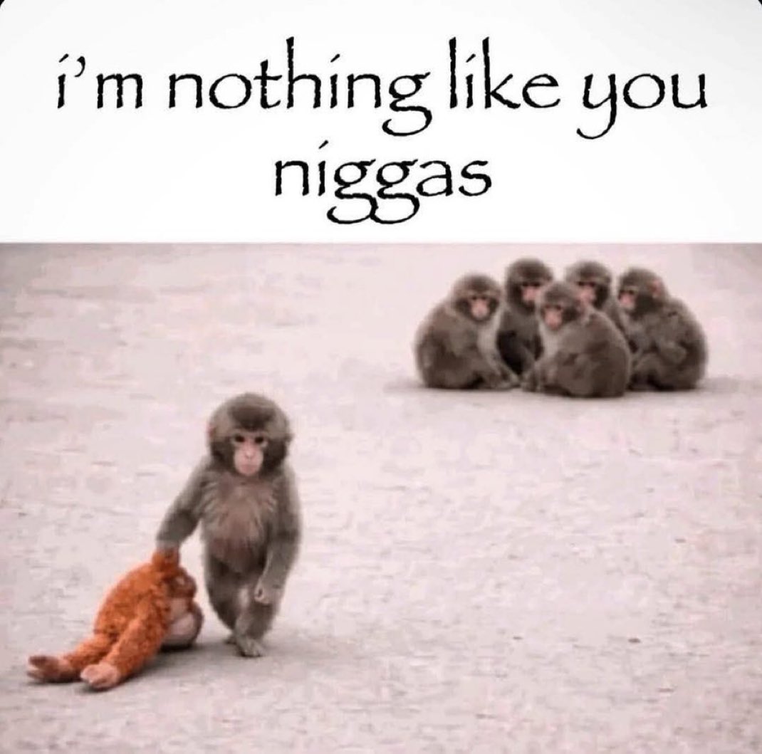 Memes I found shoved up my Ass tweet media