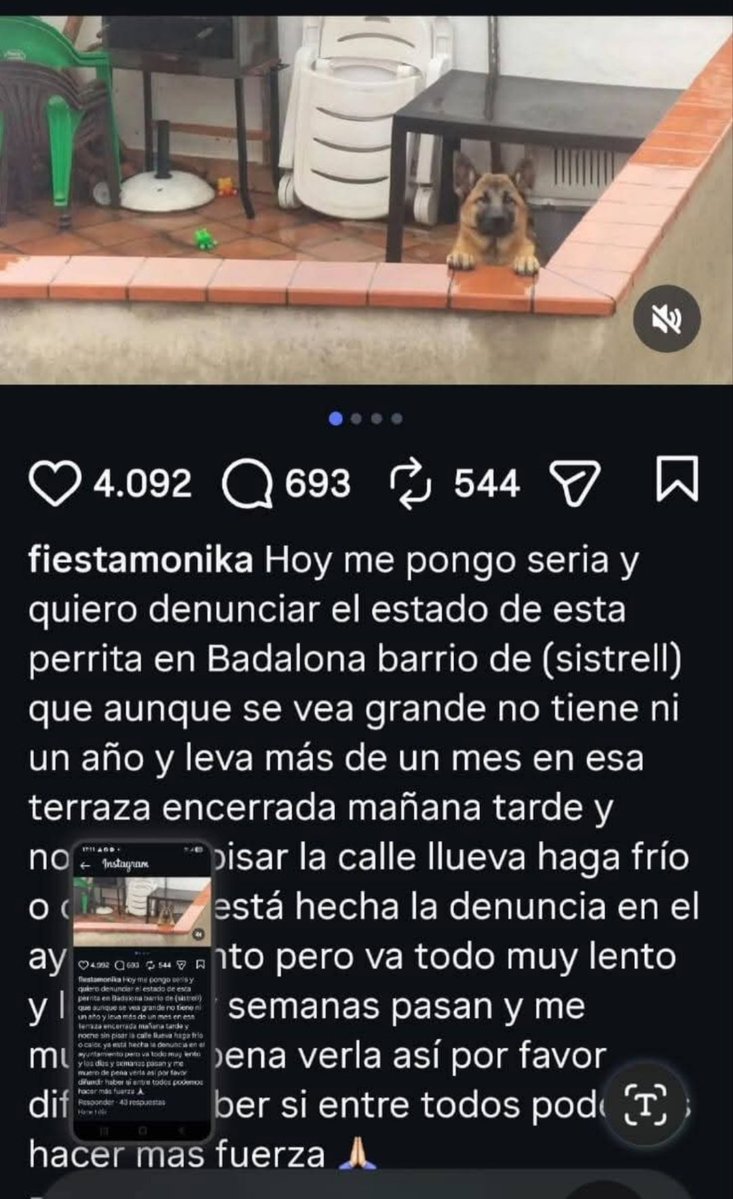 María Viñuela del Jeso tweet media