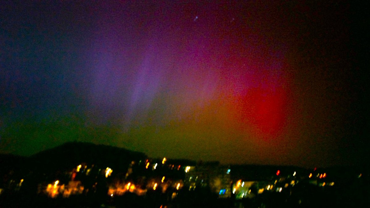 Doris von Wald tweet media