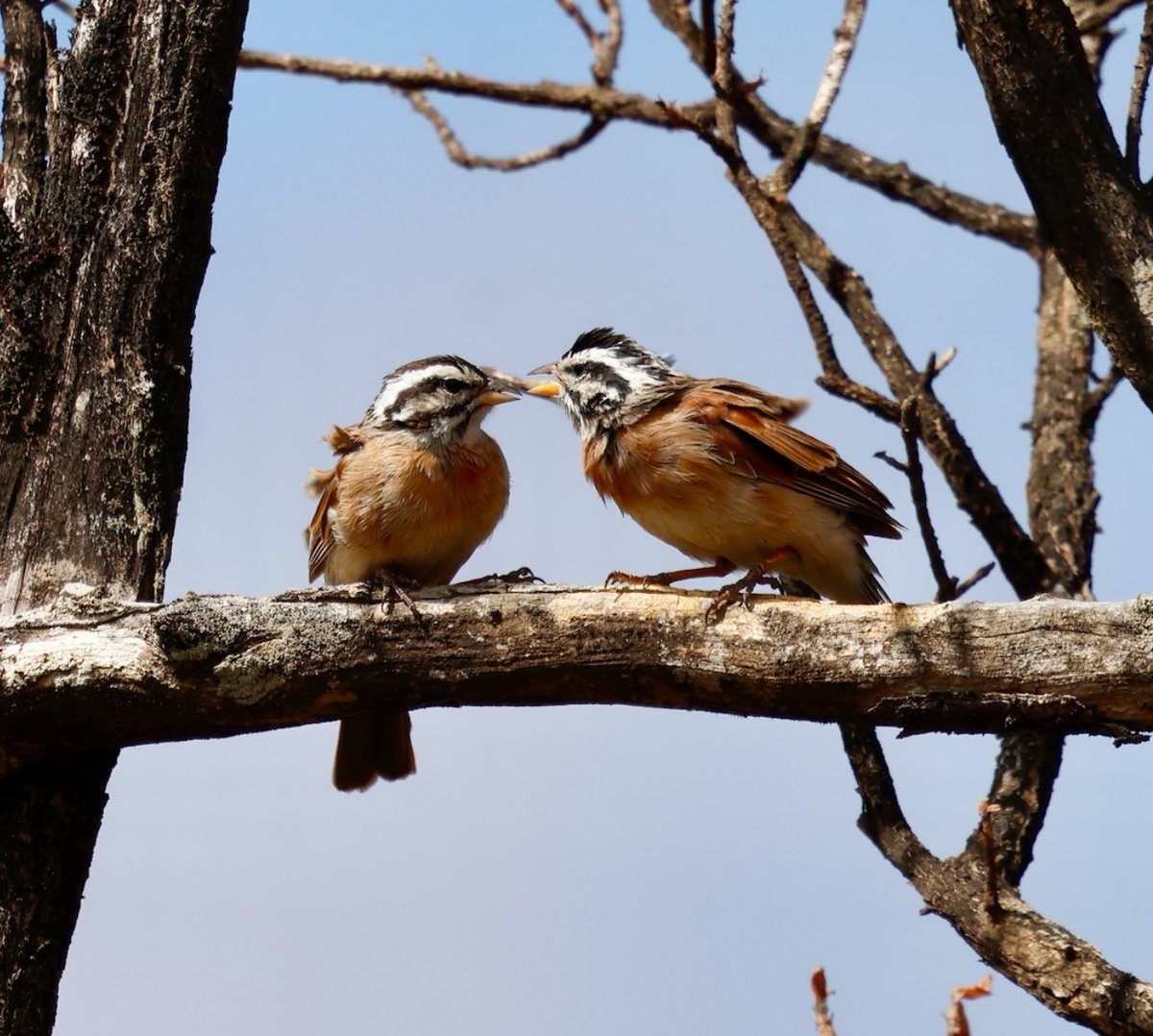 Aidan G. Kelly tweet media