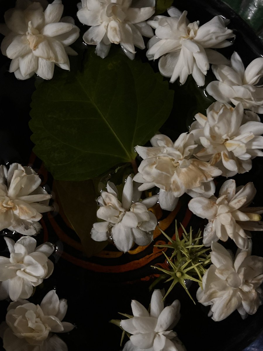 chiniokbye tweet media