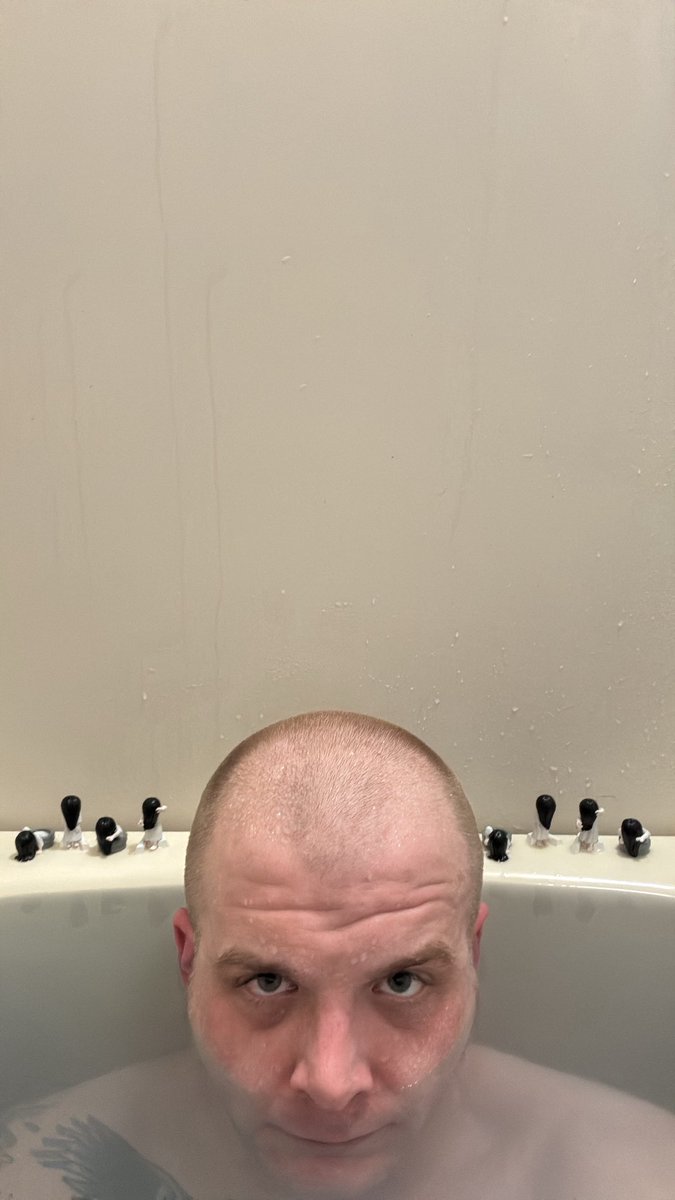 PiERCE PANiC (混乱突刺) tweet media