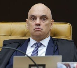 Fernanda Salles tweet media