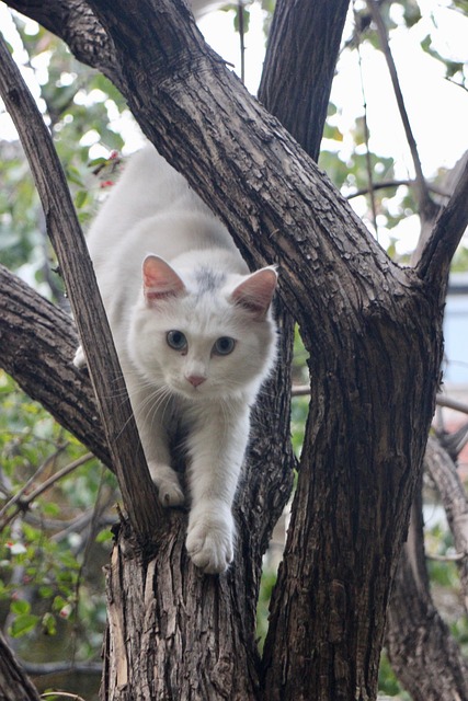 Dustin Corle tweet media