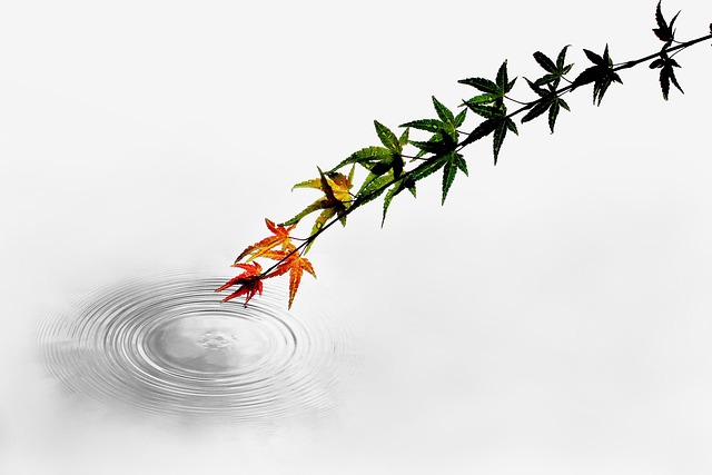 Beth Davis tweet media