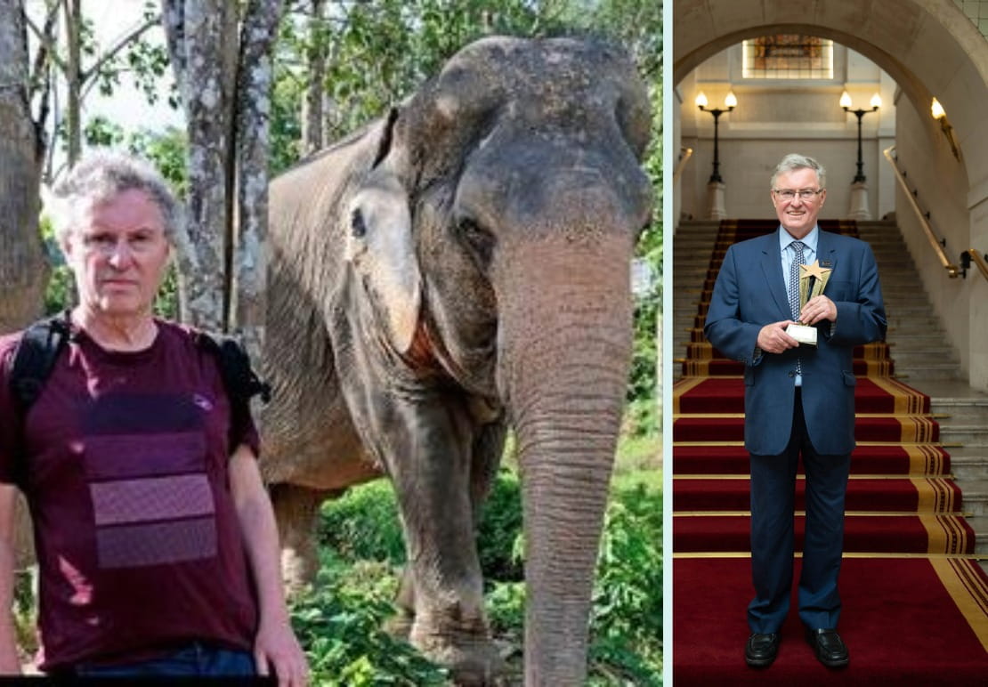 Save The Asian Elephants tweet media