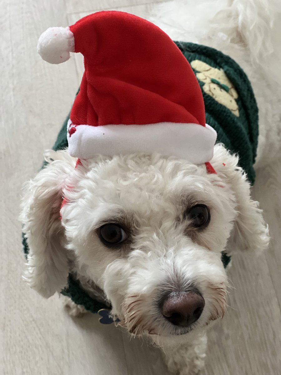 NotAMale#ThoughtCriminal tweet media