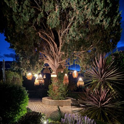 Troco🪽 tweet media