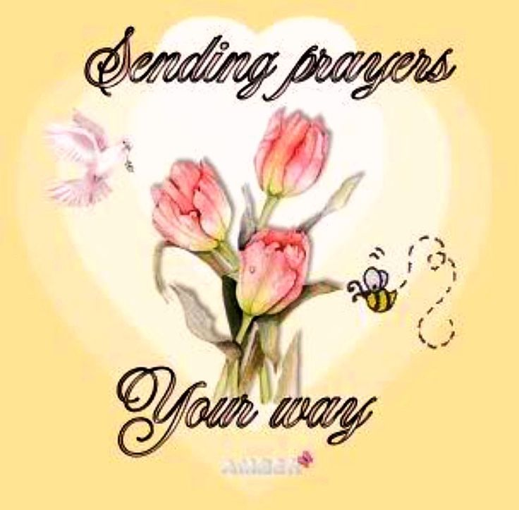 Will Agee tweet media