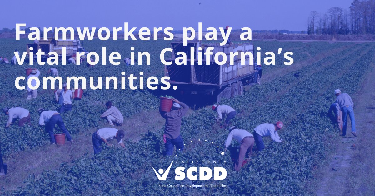 Official California State Council on DD tweet media