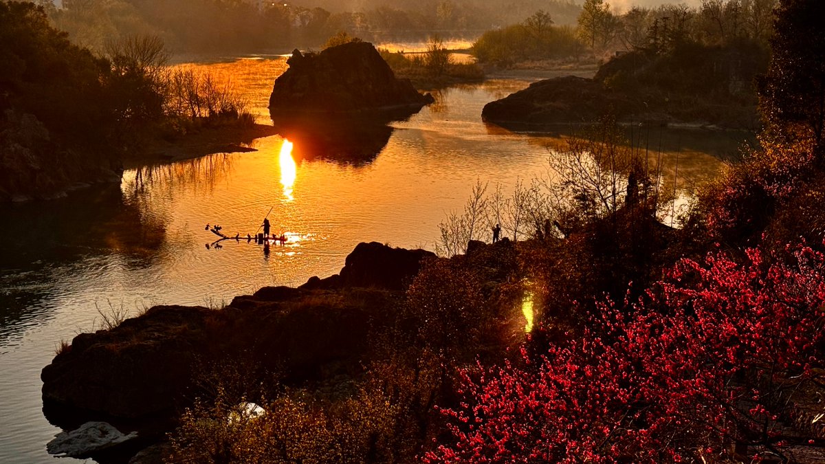 Jeana Lyn Caceres tweet media