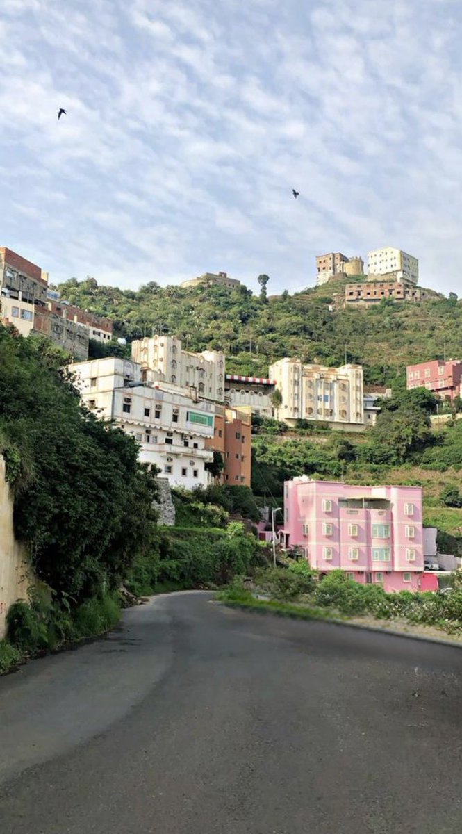 أبو يزيد بن معاوية - tweet media