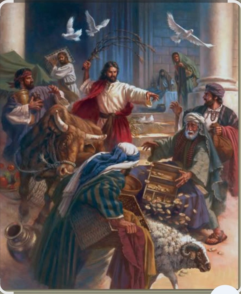 ChristsTiger tweet media