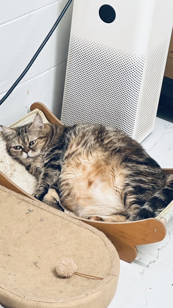 FSQ+JJJX💜🥝 tweet media