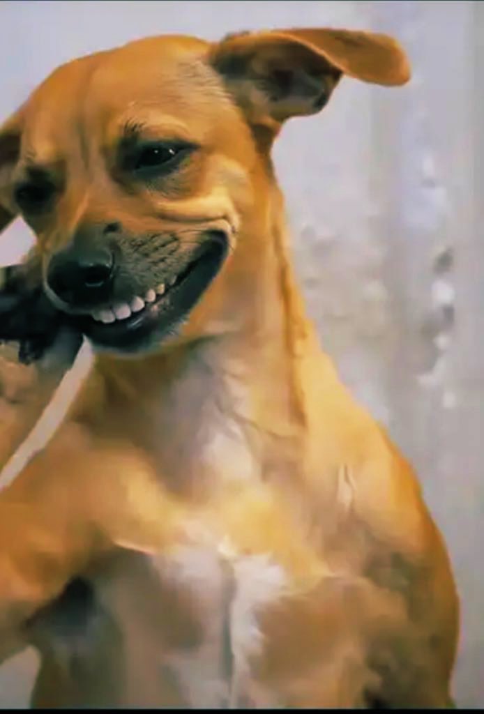 dax jpy 📊 tweet media