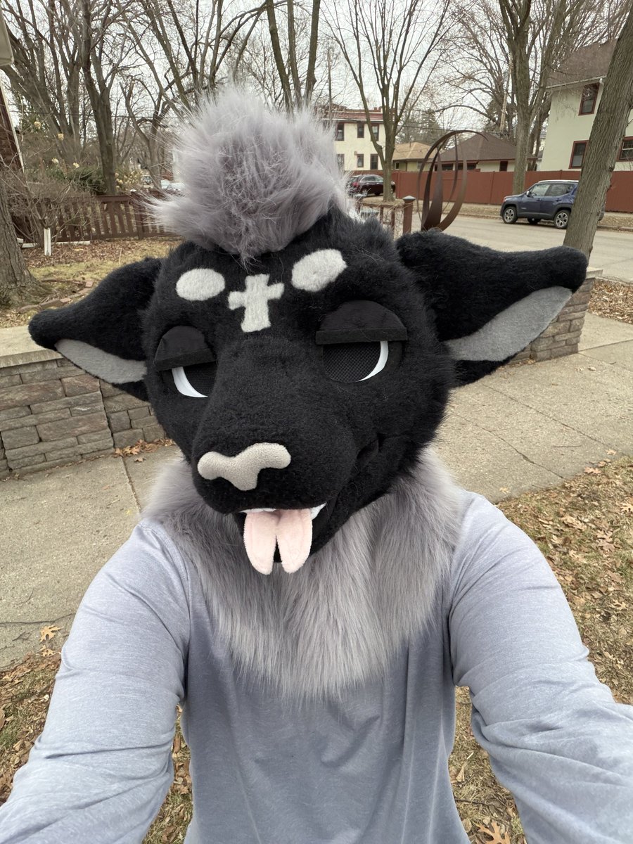 sheep 🔜 LVFC 🎲 tweet media