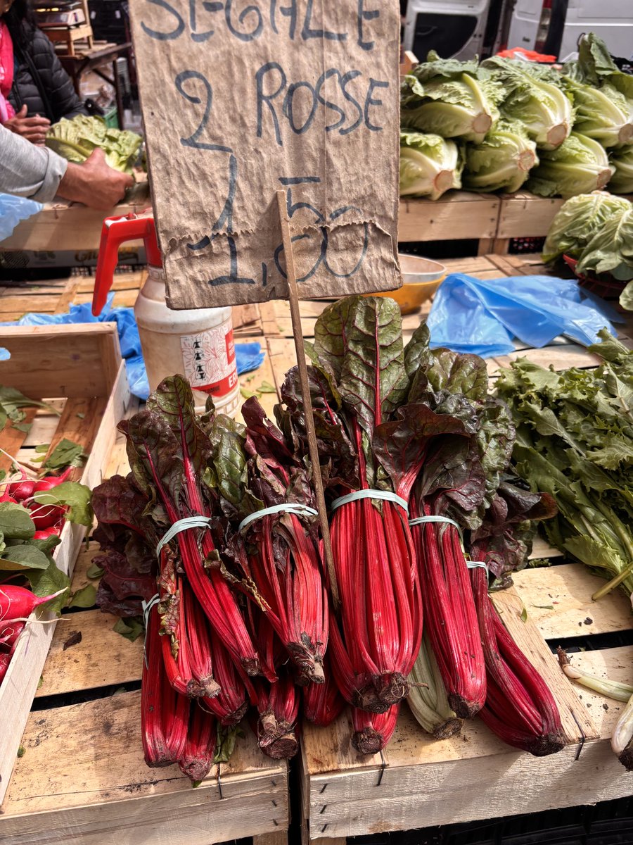 🇮🇹フィレンツェ発現地ツアーeasyfirenze tweet media