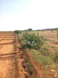 Osman Mirghani tweet media