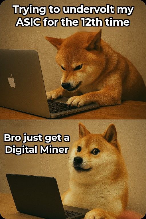 Sorcerer Dave tweet media