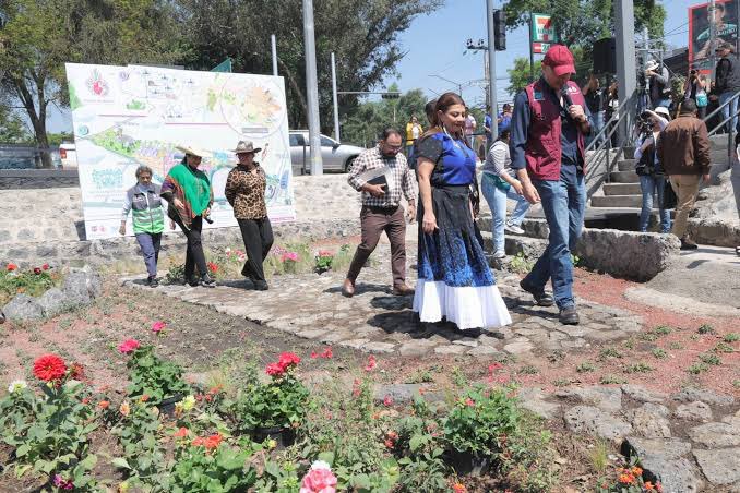 Adriana Dávila tweet media