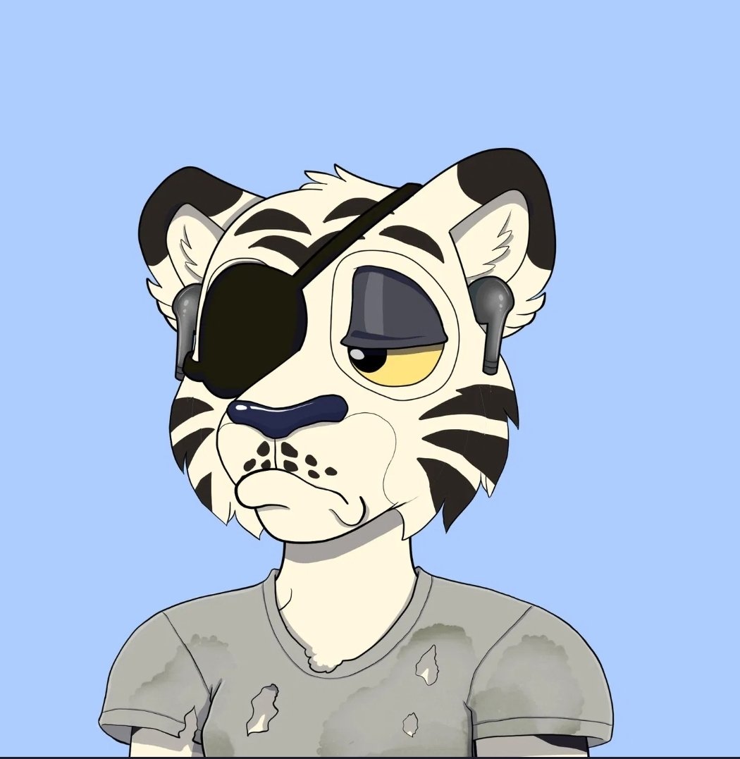 WildTigers tweet media