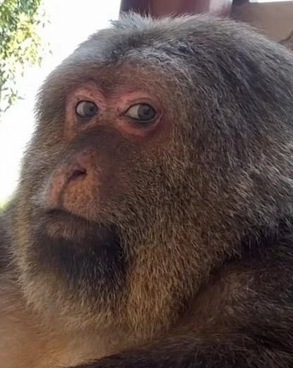 Kaban 🍿 tweet media