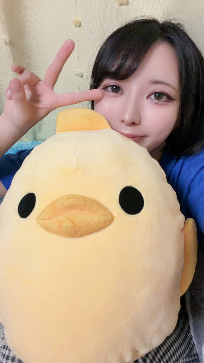 花音 茉奈明(はなね まなあ)🐧💙4/4,5ぱんだJAM！5/31生誕祭！8/30ワンマン！ tweet media