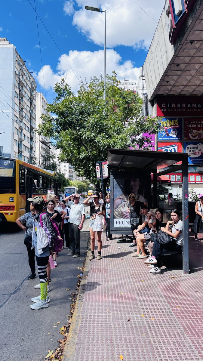 Víctor Zapata tweet media