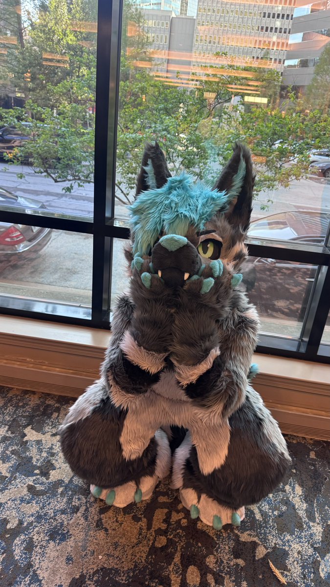 🐉Vironect🐉 tweet media