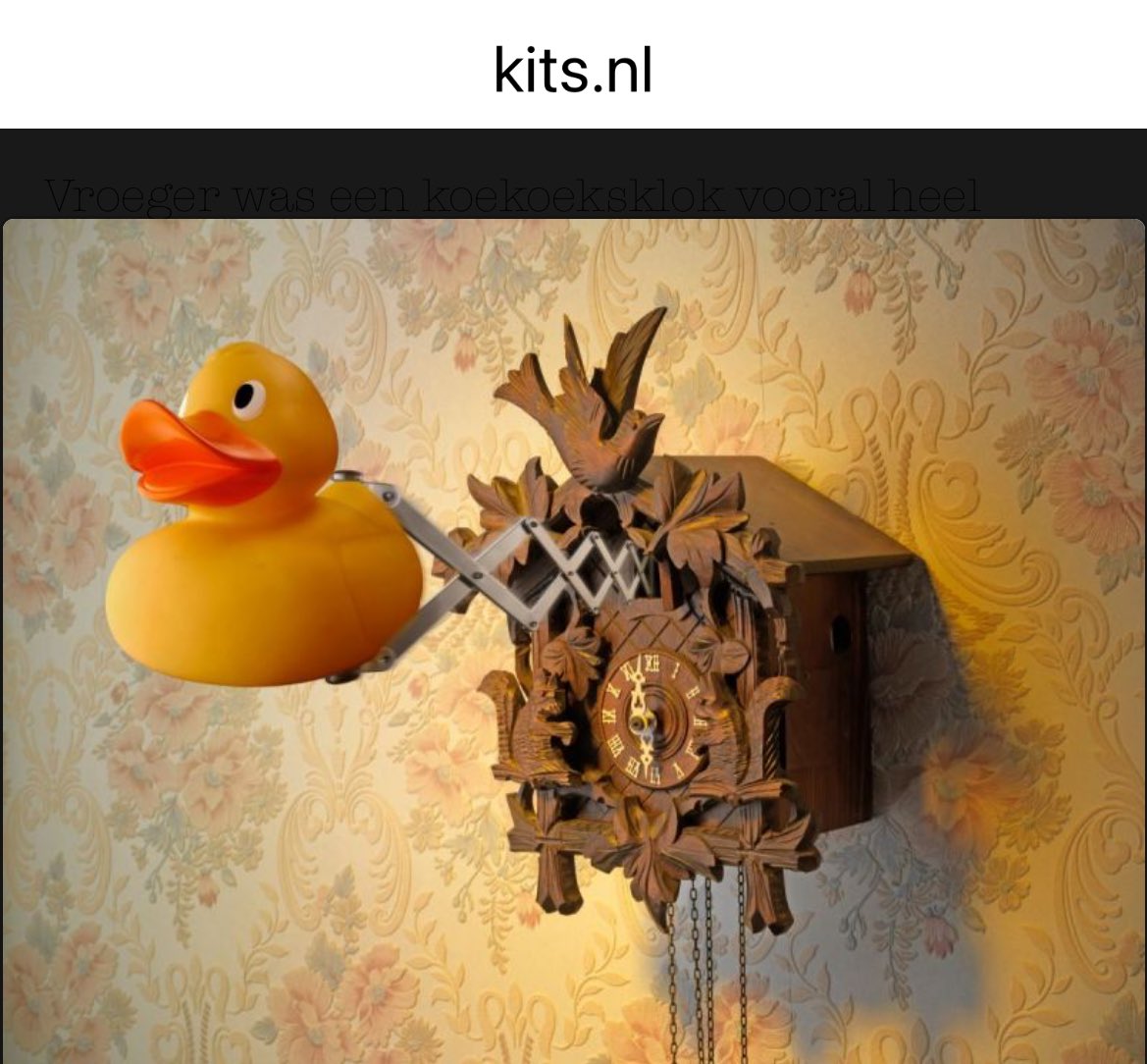 SandraG🇺🇦🏳️‍🌈 tweet media