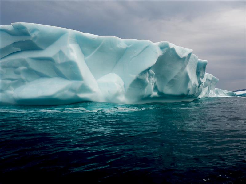 Fisheries and Oceans tweet media