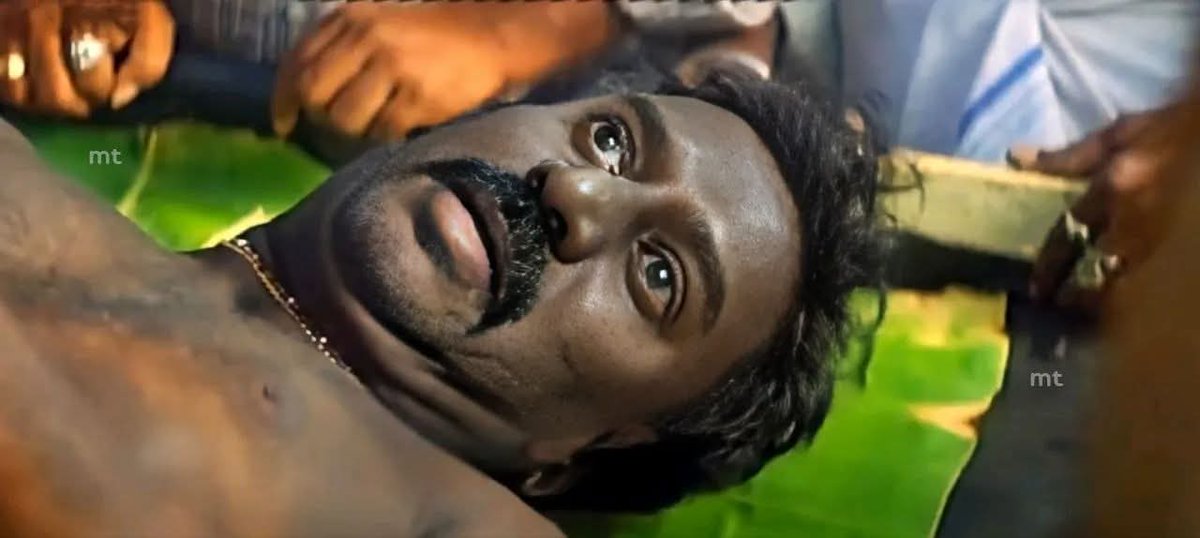 பாக்டீரியா tweet media