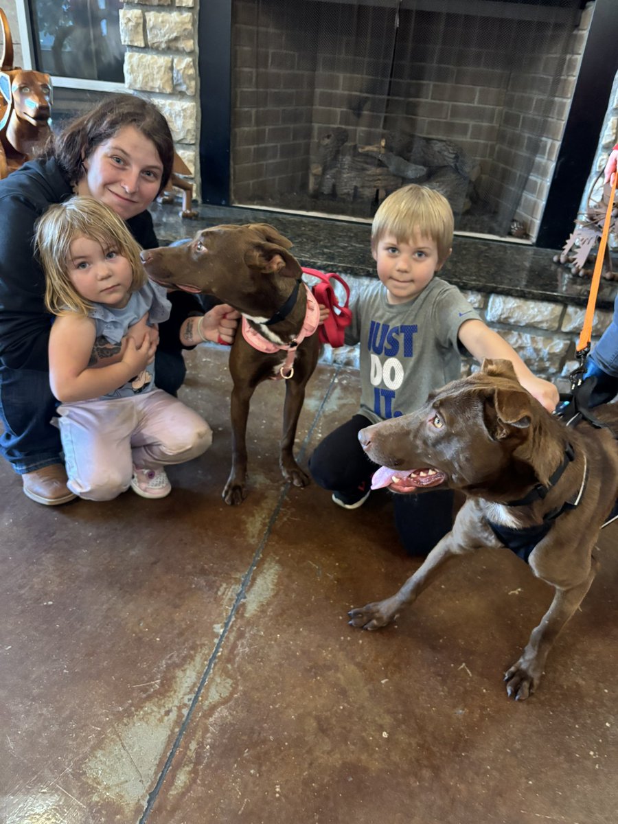 SPCA Cincinnati tweet media