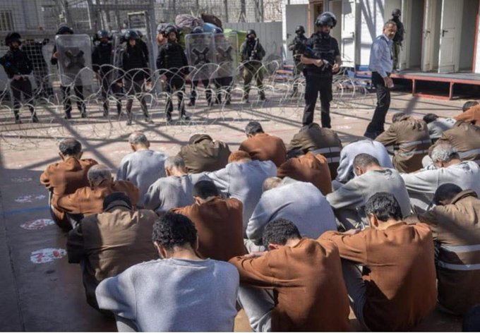 Vivid.🇮🇱 tweet media