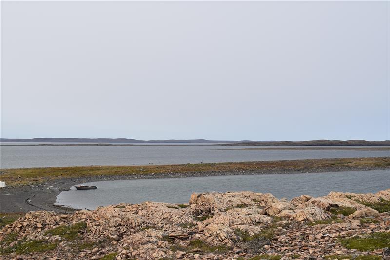 Fisheries and Oceans tweet media