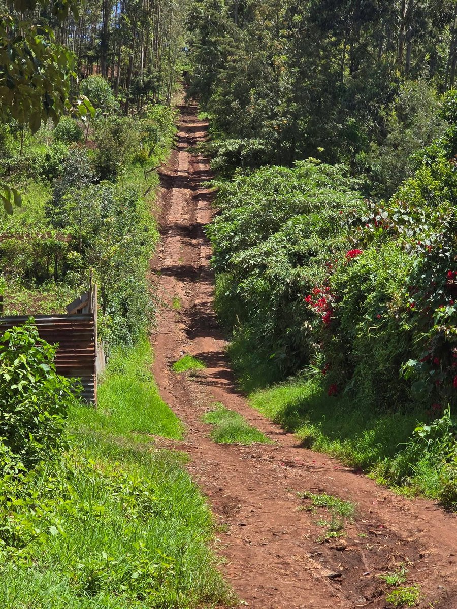 ONJOLO KENYA🇰🇪 tweet media