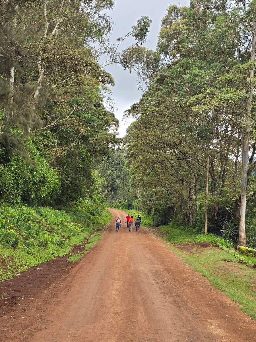 ONJOLO KENYA🇰🇪 tweet media