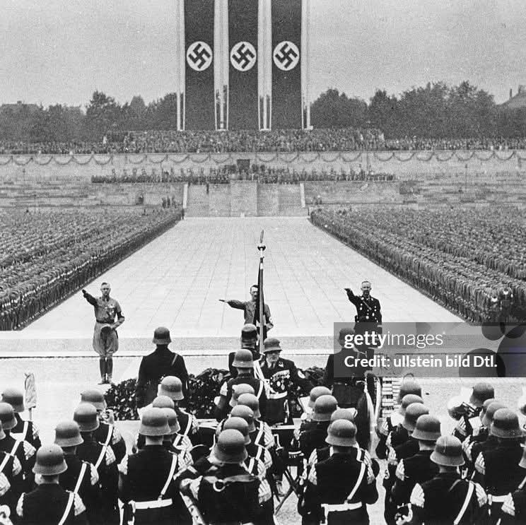 Fin Murphy tweet media