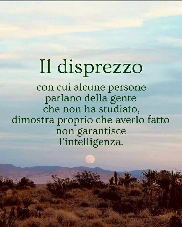 M A R I O tweet media