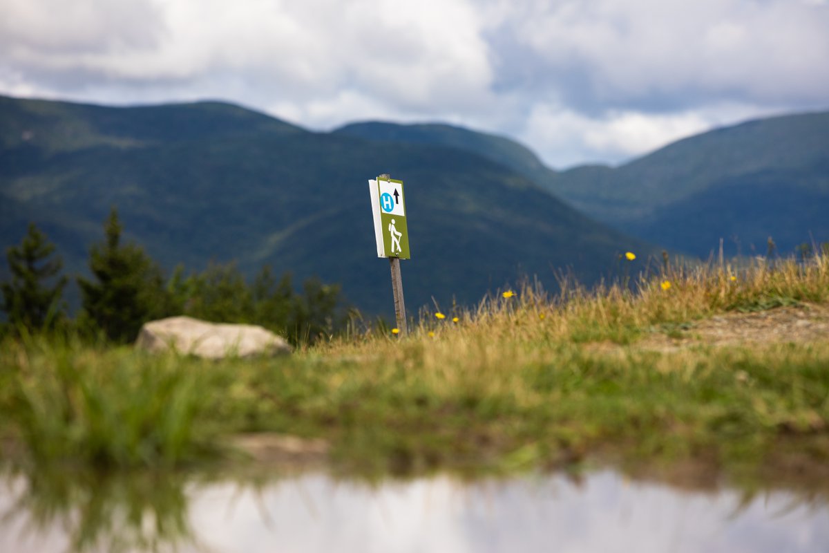Maine's Lakes & Mtns tweet media
